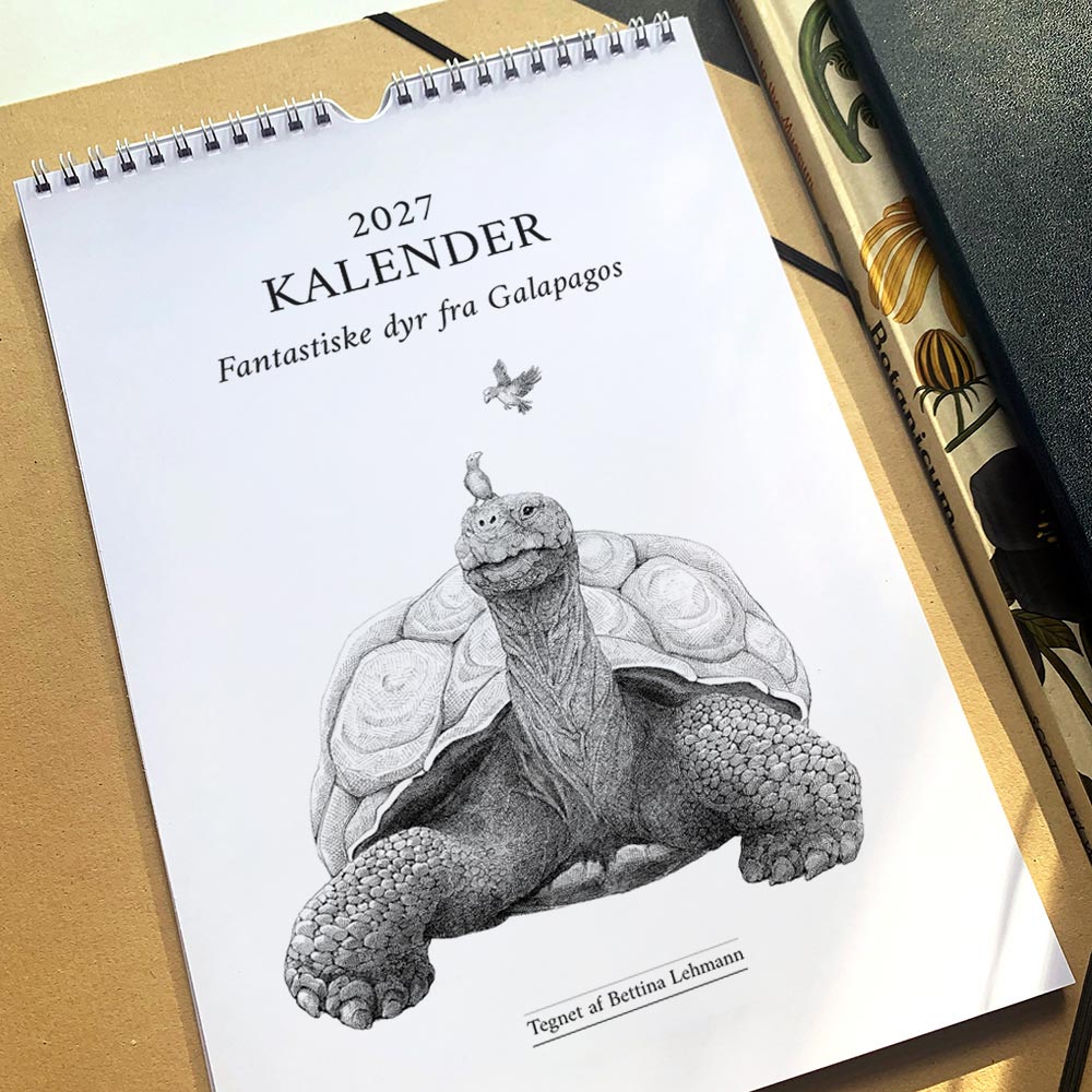 2027 kunstkalender. Galapagos. 12 håndtegnede illustrationer af Bettina Lehmann.