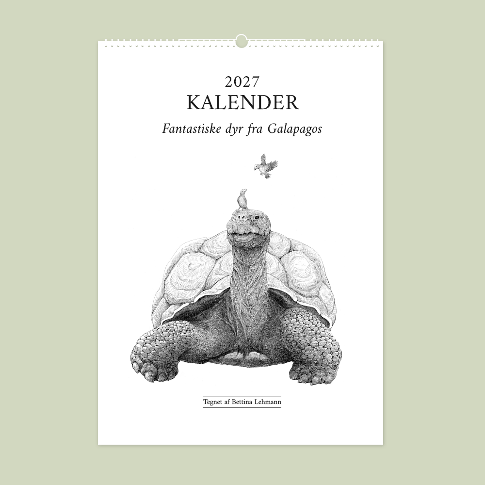 2027 kalender. Galapagos. 12 håndtegnede illustrationer af Bettina Lehmann.
