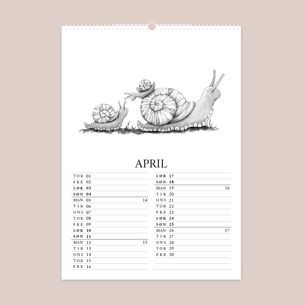 Kalender 2027 med håndtegnede illustrationer af Bettina Lehmann. Snegle