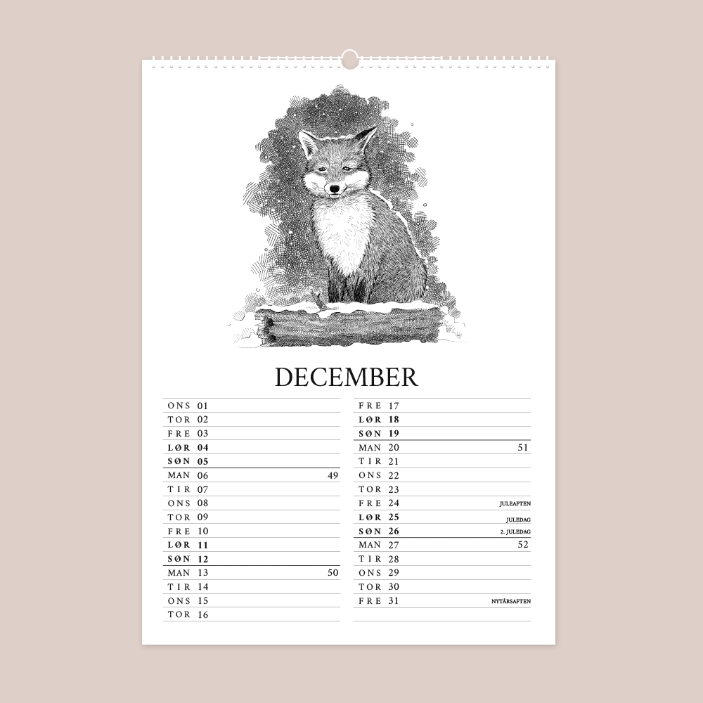 Kalender 2027 med håndtegnede illustrationer af Bettina Lehmann. Ræv dækket af sne