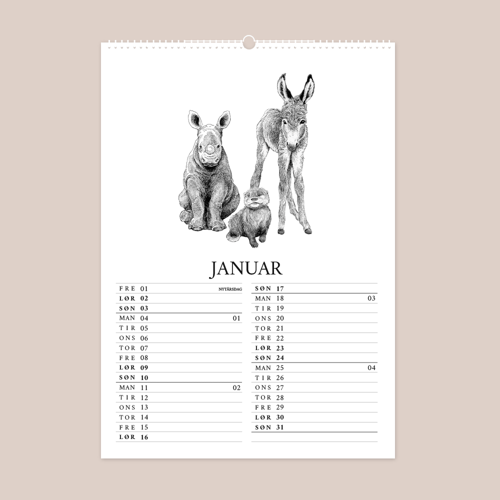 Kalender 2027 med håndtegnede illustrationer af Bettina Lehmann. Lille næsehorn, odder og æsel.