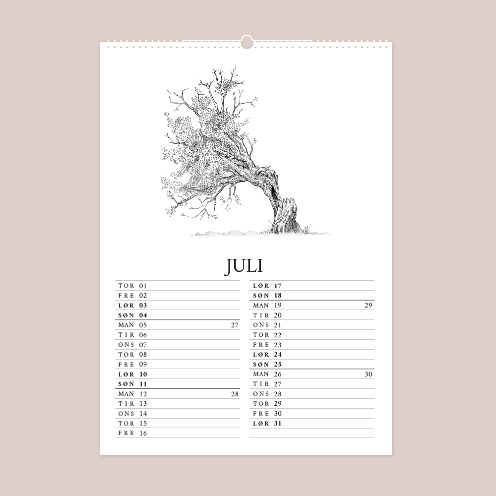 Kalender 2027 med håndtegnede illustrationer af Bettina Lehmann. Gammelt træ