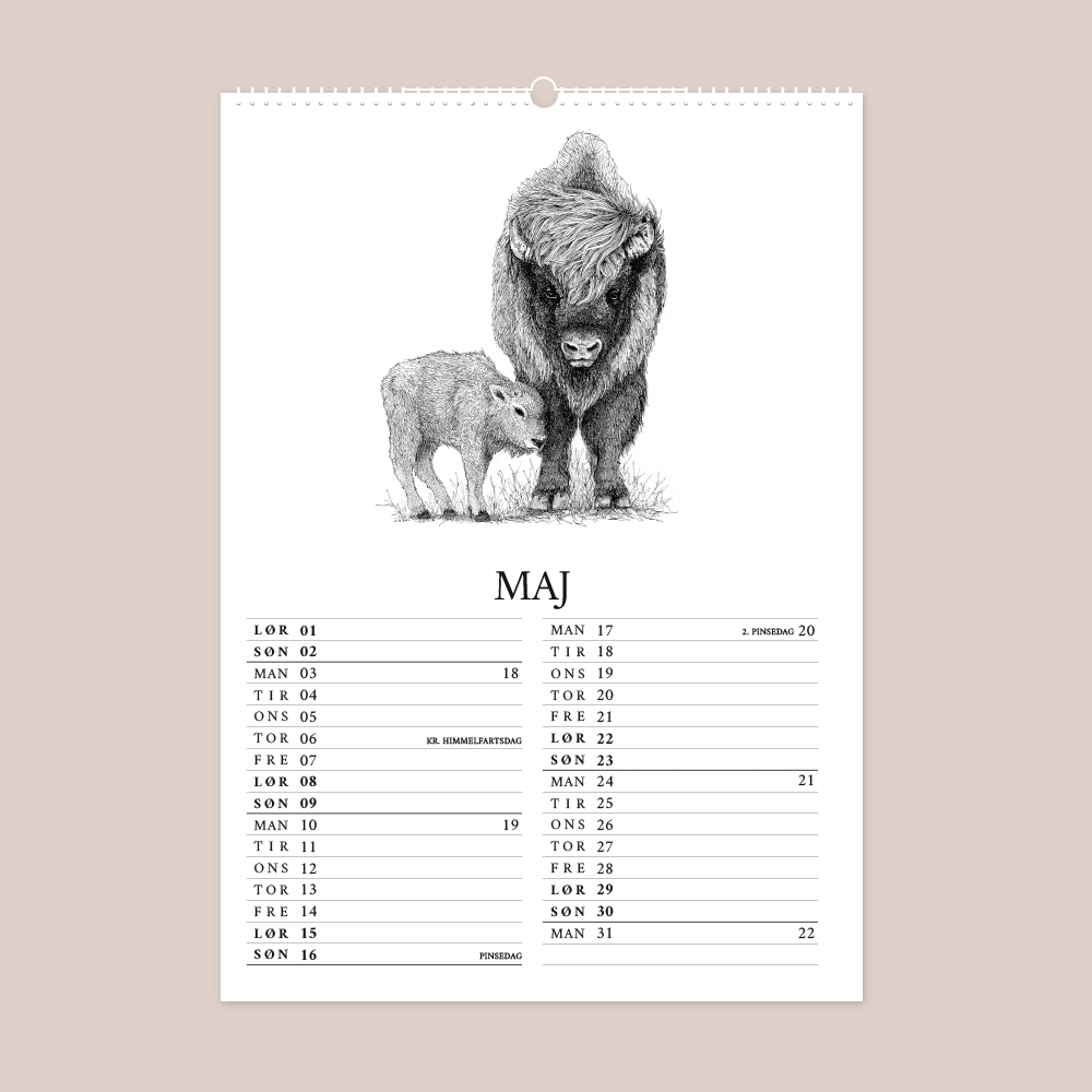 Kalender 2027 med håndtegnede illustrationer af Bettina Lehmann. Bison og kalv