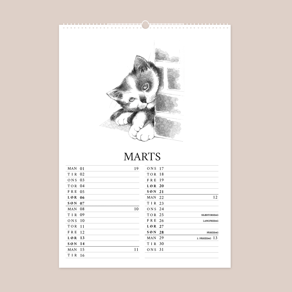 Kalender 2027 med håndtegnede illustrationer af Bettina Lehmann. Kattekilling