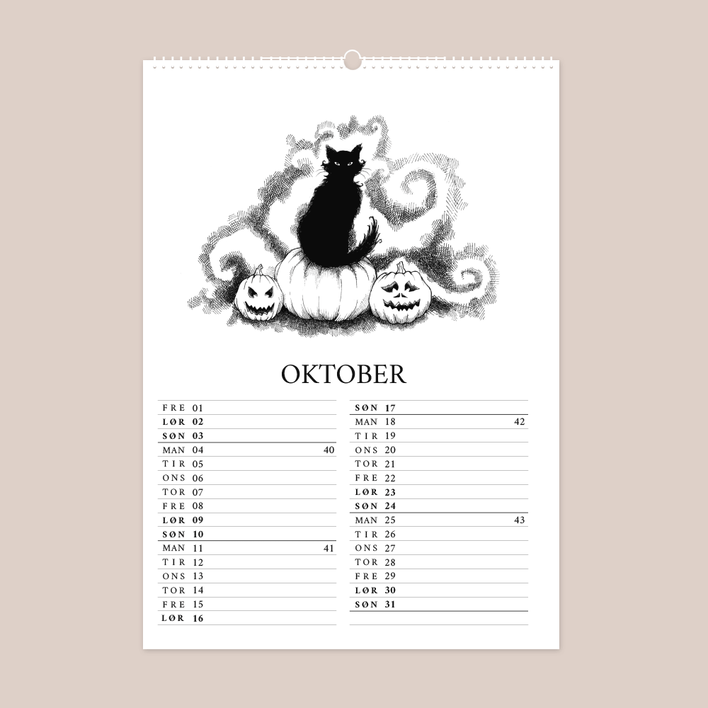 Kalender 2027 med håndtegnede illustrationer af Bettina Lehmann. Kat på græskar