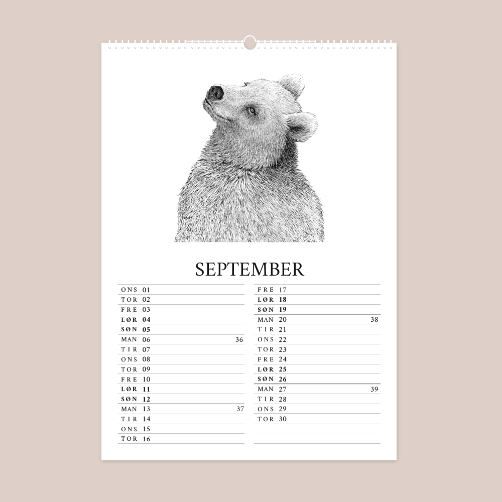 Kalender 2027 med håndtegnede illustrationer af Bettina Lehmann. Bjørneunge