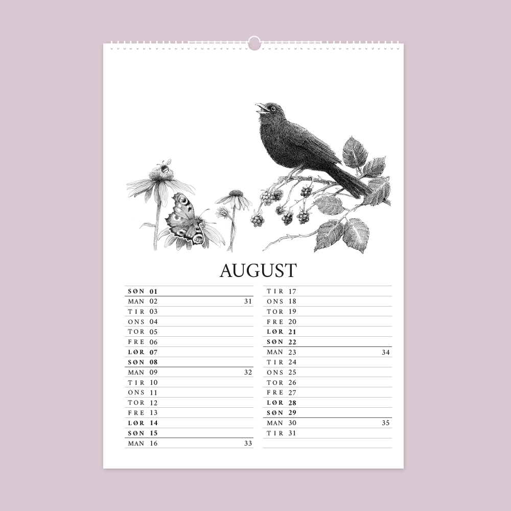 2027 kunstkalender. Livet i den vilde have. 12 håndtegnede illustrationer af Bettina Lehmann. Solsort, brombær, rød solhat, sommerfugl og brombasse