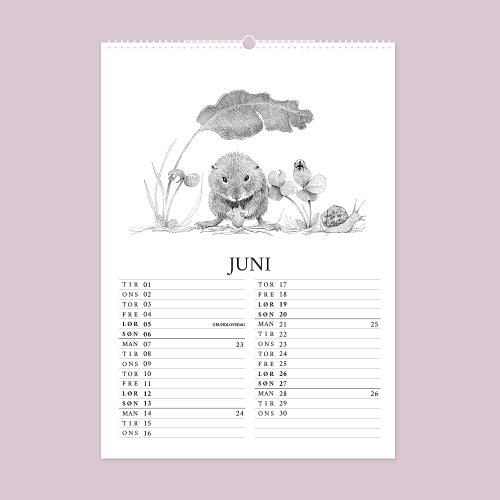 2027 kunstkalender. Livet i den vilde have. 12 håndtegnede illustrationer af Bettina Lehmann. Mus, snegl og mariehøne