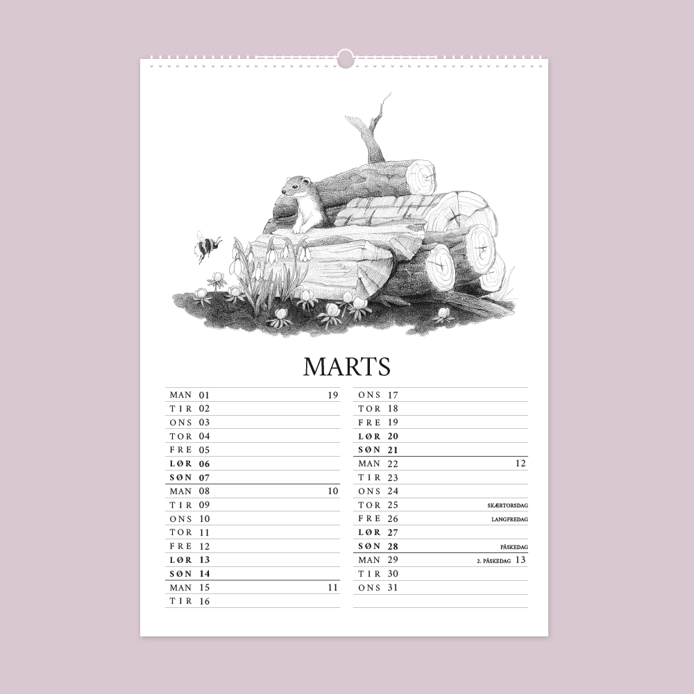 2027 kunstkalender. Livet i den vilde have. 12 håndtegnede illustrationer af Bettina Lehmann. Vintergækker, brumbasse og erantis