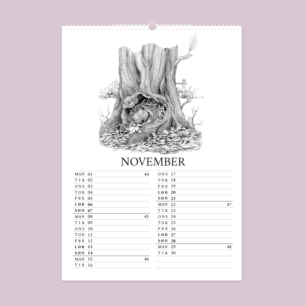 2027 kunstkalender. Livet i den vilde have. 12 håndtegnede illustrationer af Bettina Lehmann. Pindsvin i hi
