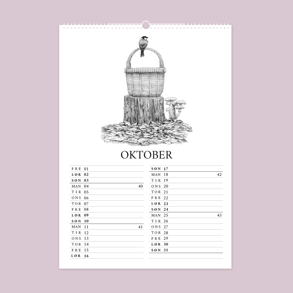 2027 kunstkalender. Livet i den vilde have. 12 håndtegnede illustrationer af Bettina Lehmann. Kurv med svampe