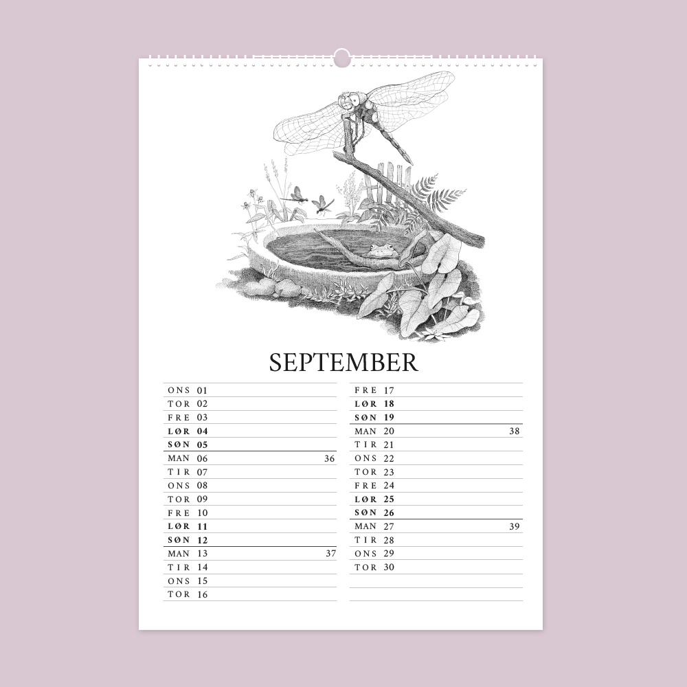 2027 kunstkalender. Livet i den vilde have. 12 håndtegnede illustrationer af Bettina Lehmann. Vandhul med insekter, tudse og guldsmed