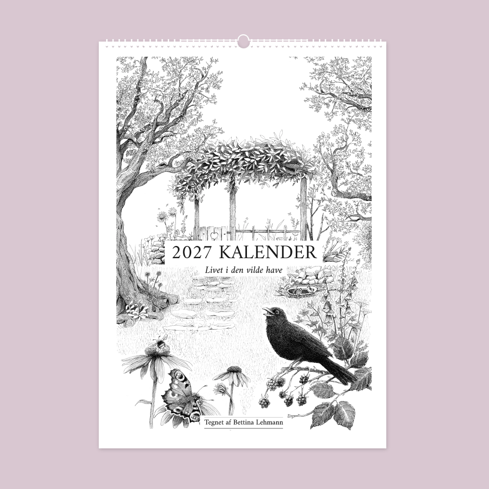 2027 kunstkalender. Livet i den vilde have. 12 håndtegnede illustrationer af Bettina Lehmann.
