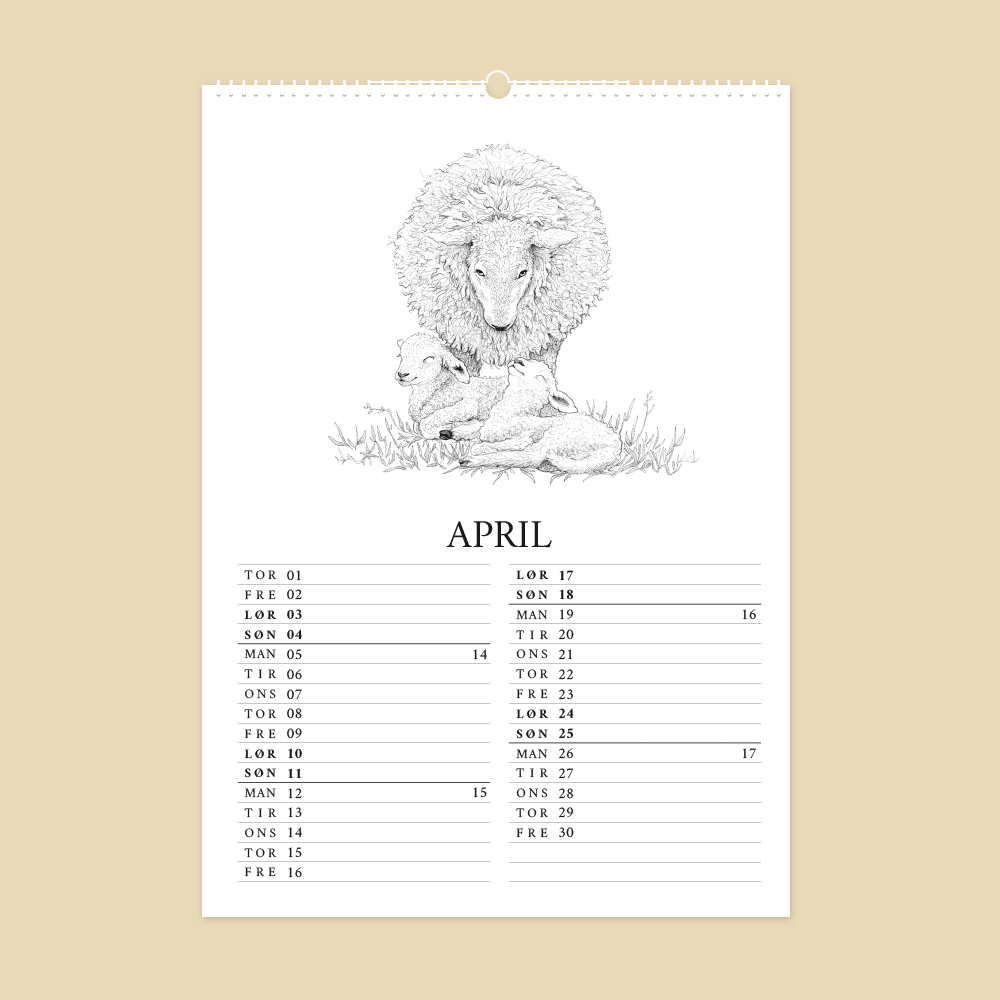 2027 kunstkalender. Livet på gården. 12 håndtegnede illustrationer af Bettina Lehmann. Får og lam