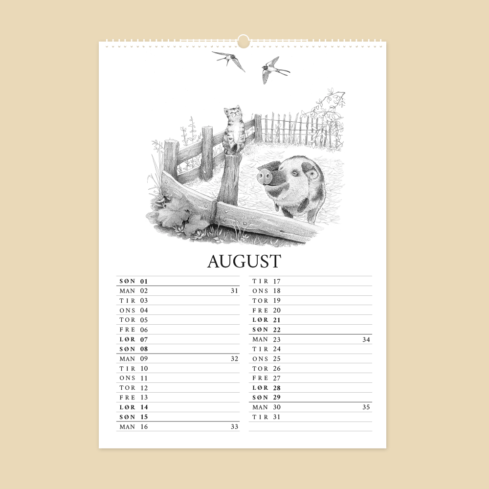 2027 kunstkalender. Livet på gården. 12 håndtegnede illustrationer af Bettina Lehmann. Grisefold