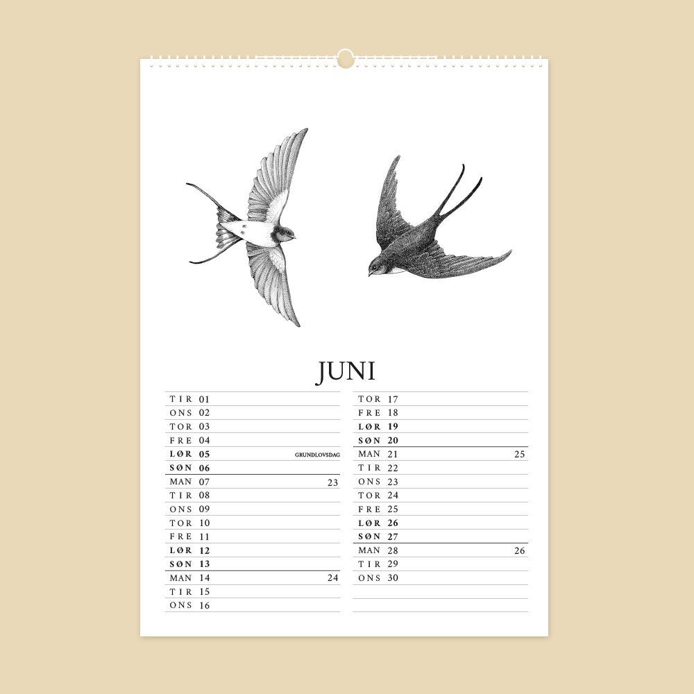 2027 kunstkalender. Livet på gården. 12 håndtegnede illustrationer af Bettina Lehmann. Svaler