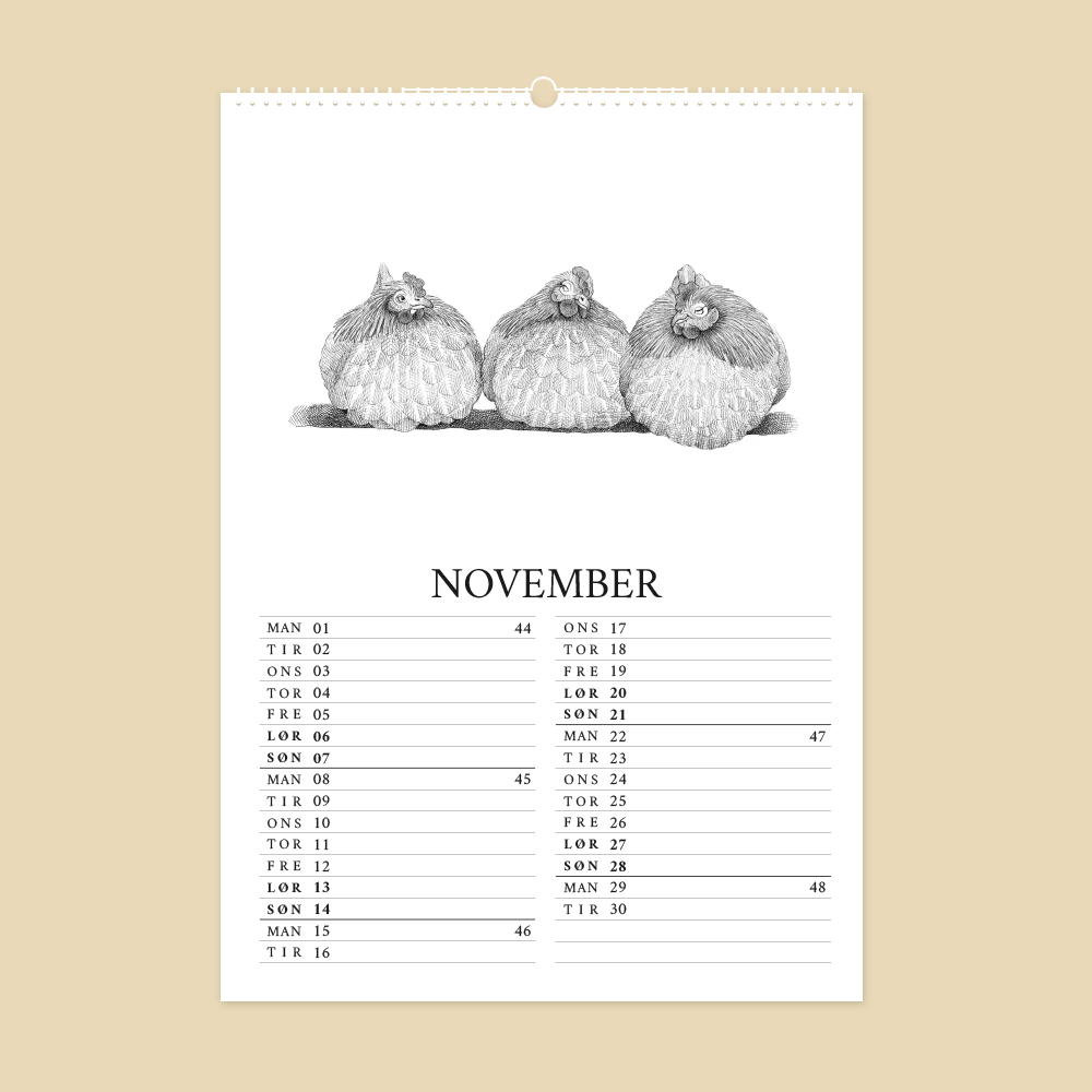 2027 kunstkalender. Livet på gården. 12 håndtegnede illustrationer af Bettina Lehmann. Høns