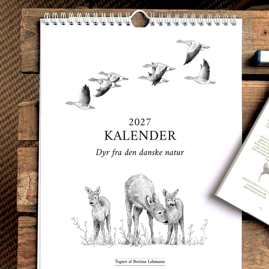 2027 kunstkalender. Dyr fra den danske natur. 12 håndtegnede illustrationer af Bettina Lehmann.