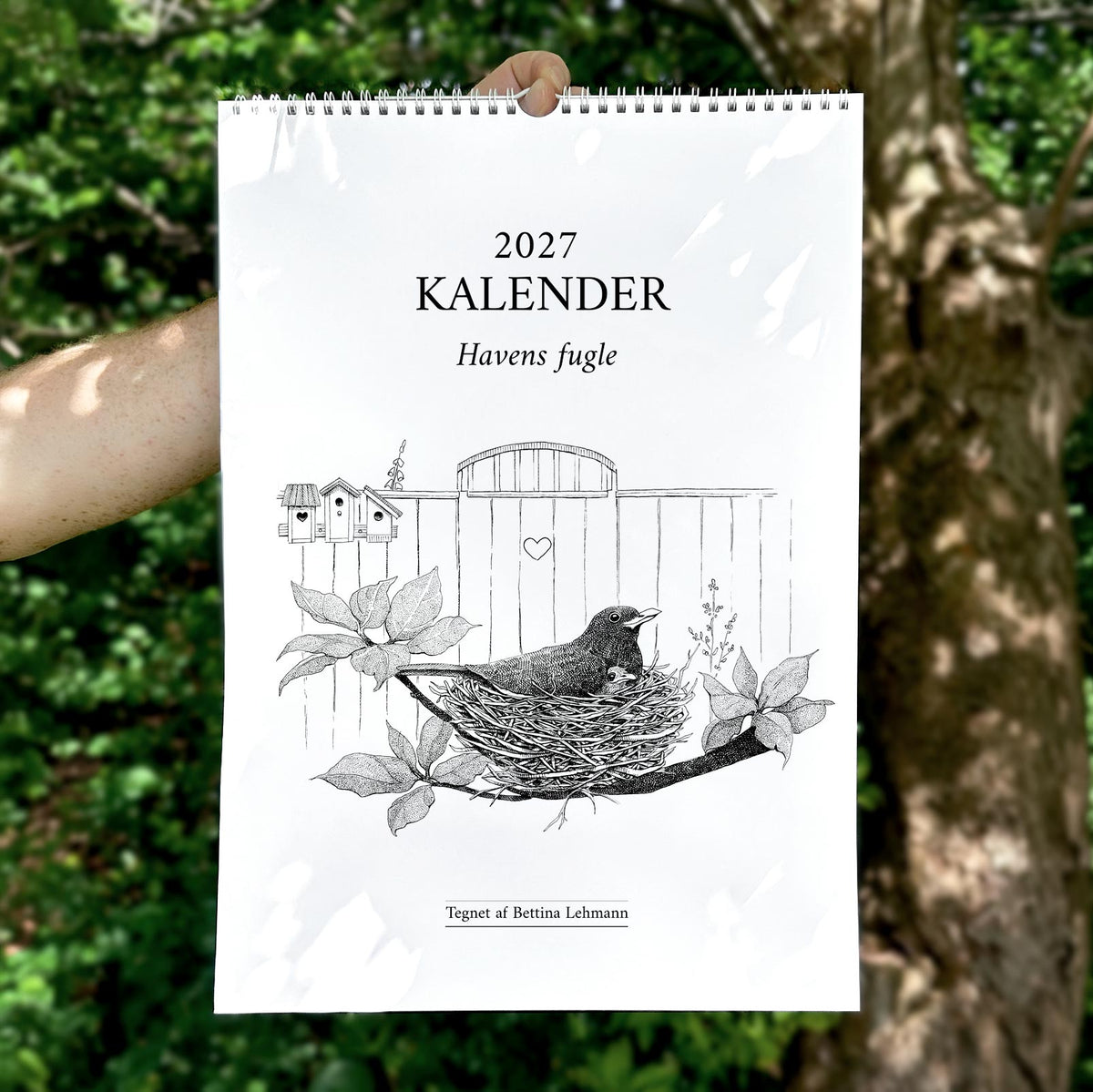 2027 kunstkalender. Havens fugle. 12 håndtegnede illustrationer af Bettina Lehmann.