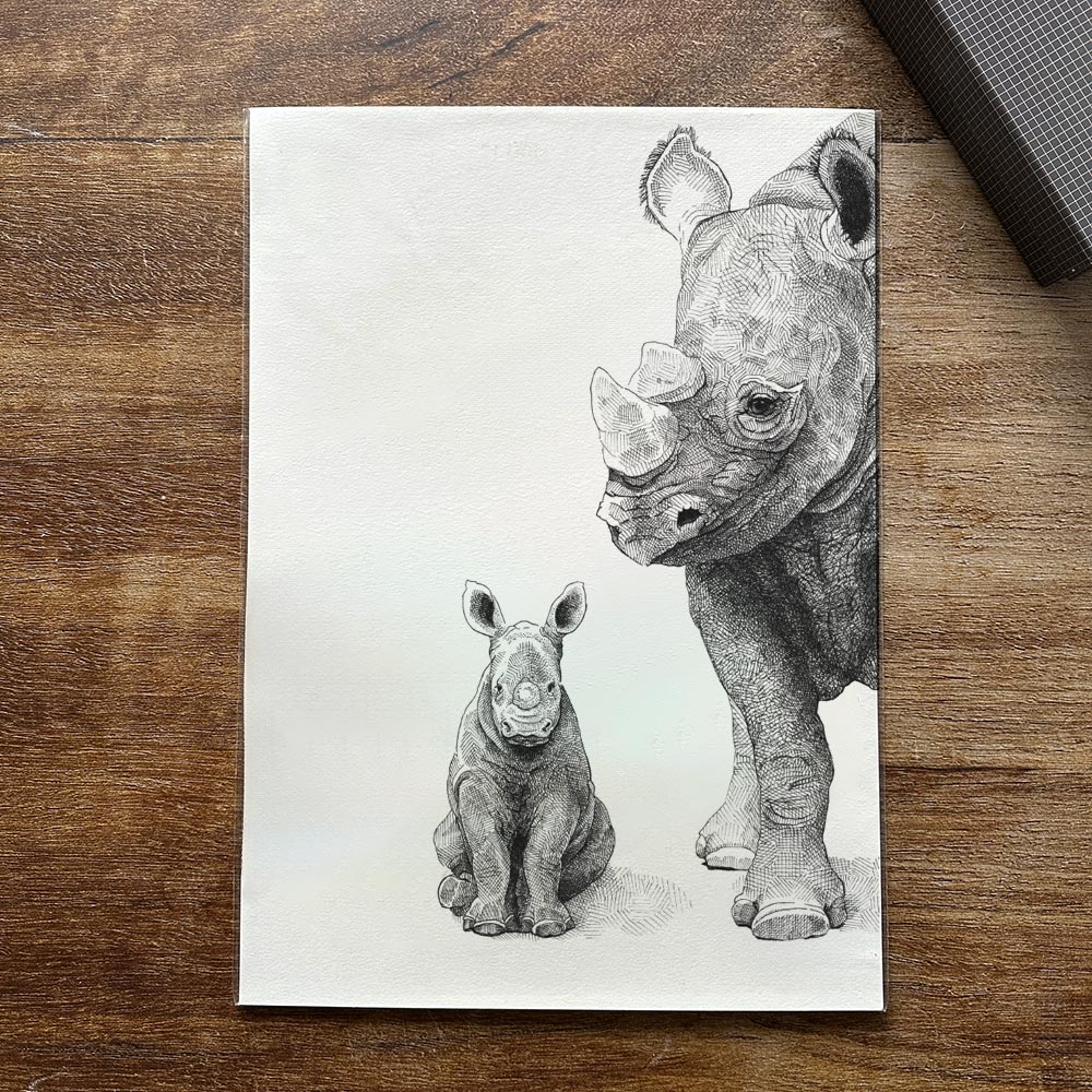 Udsalg - A3 Næsehorn og unge
