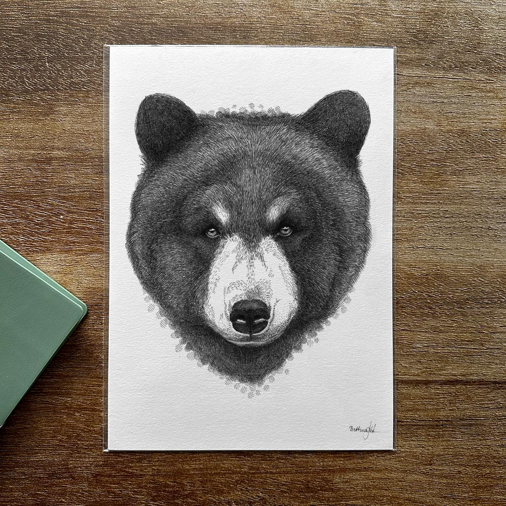 Udsalg - A4 bjørn plakat