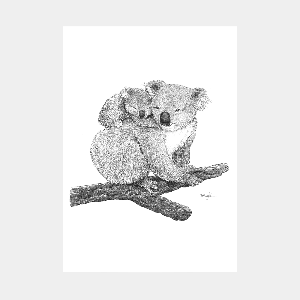 Børneplakat med koala til både dreng og pige. Tegnet i hånden af Bettina Lehmann.