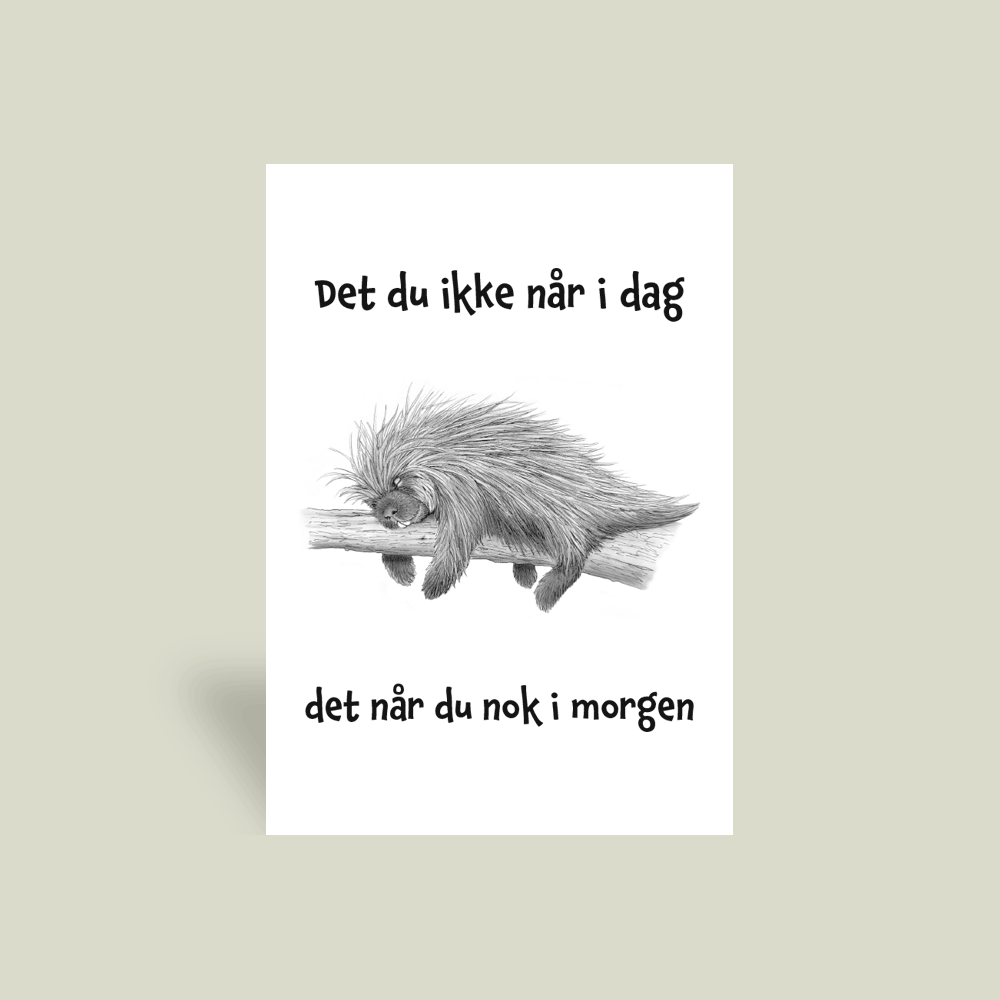 Kort - "Det du ikke når i dag, når du nok i morgen."