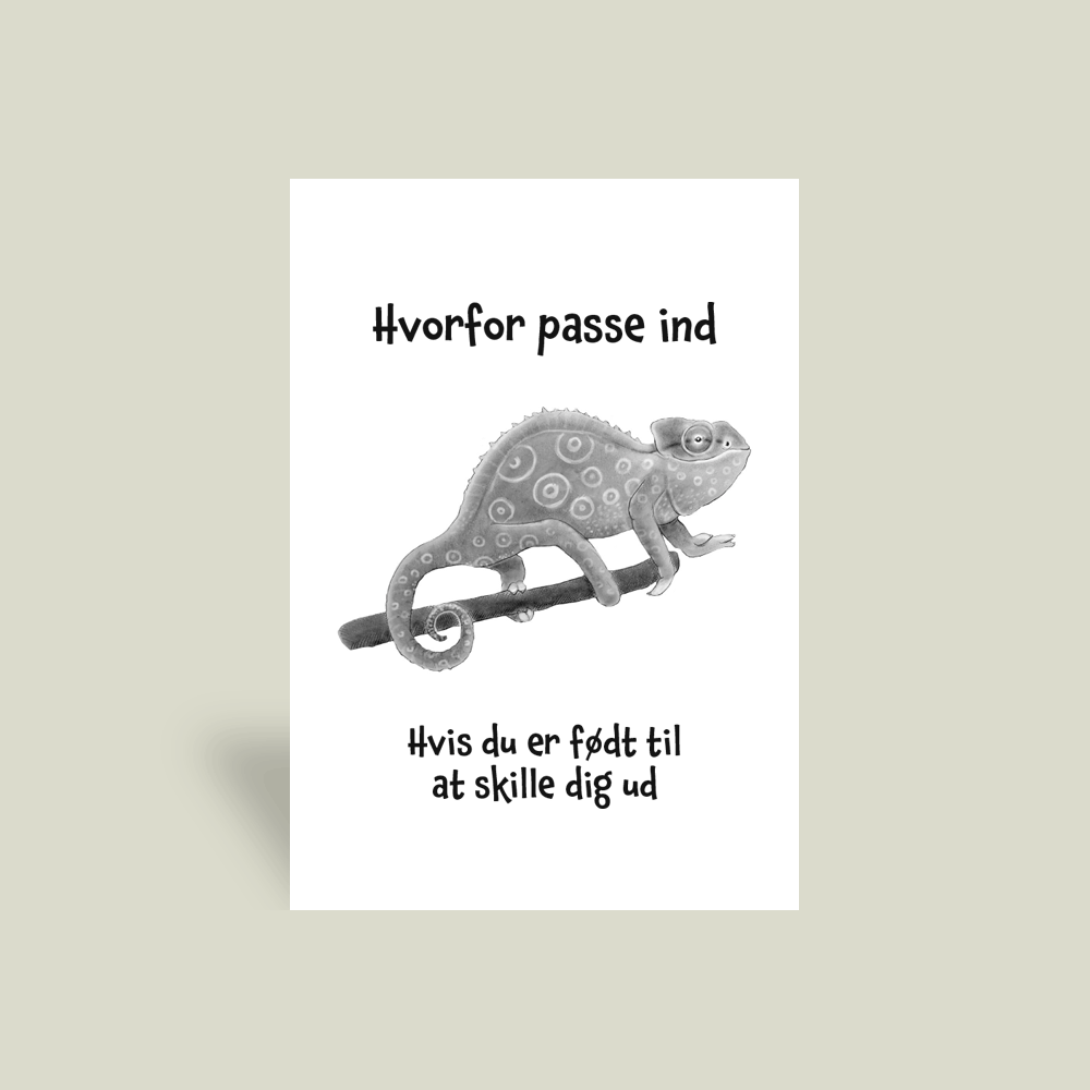 Kort - "Hvorfor passe ind?"