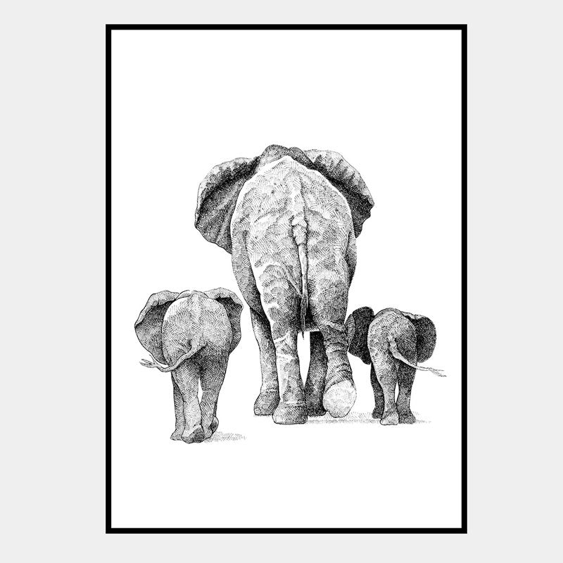 Elefanter - 50x70 plakat