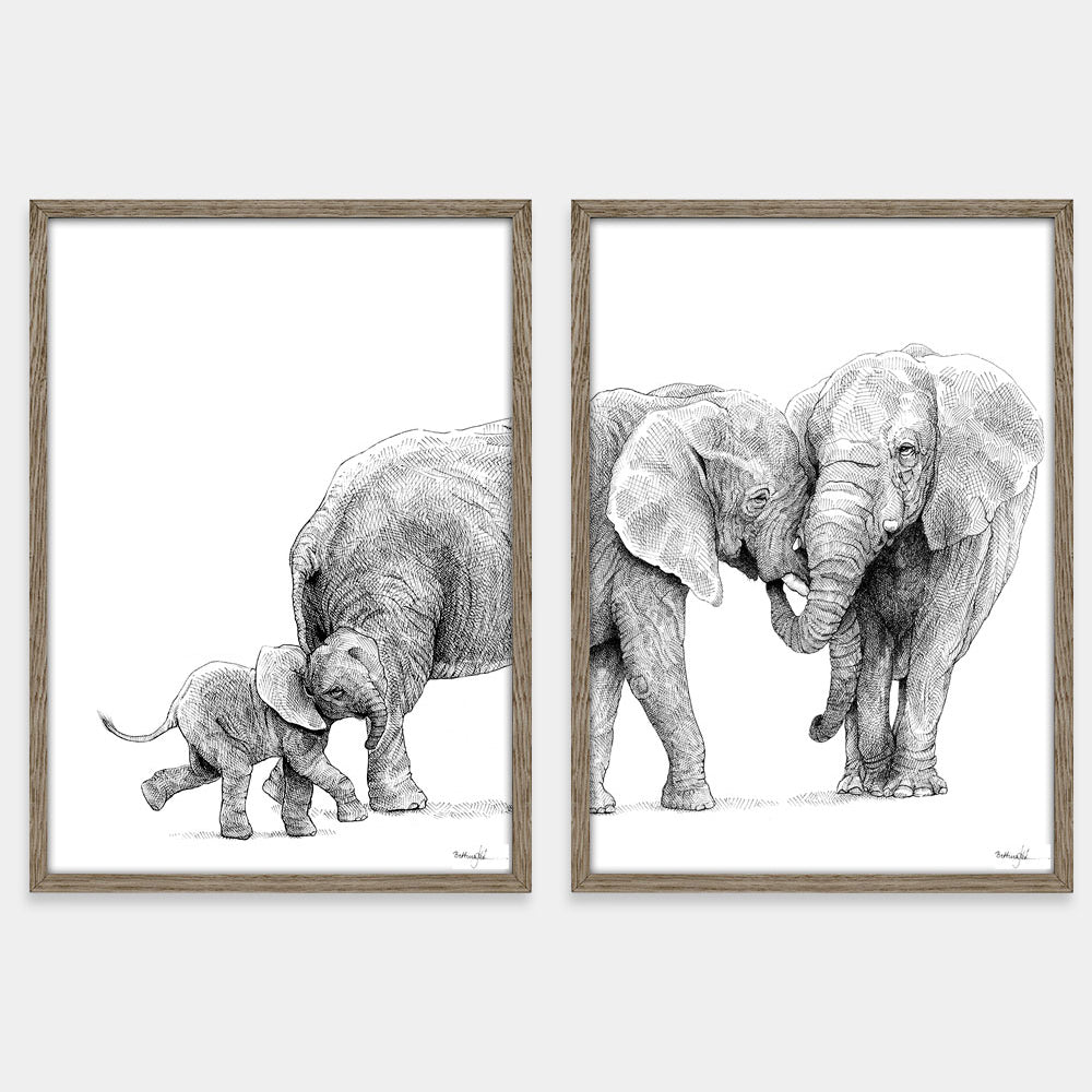 Udsalg - A3 Elefantfamilie plakat (1-5 unger)