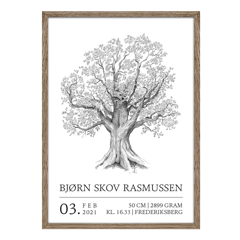 Fødselsplakat med egetræ