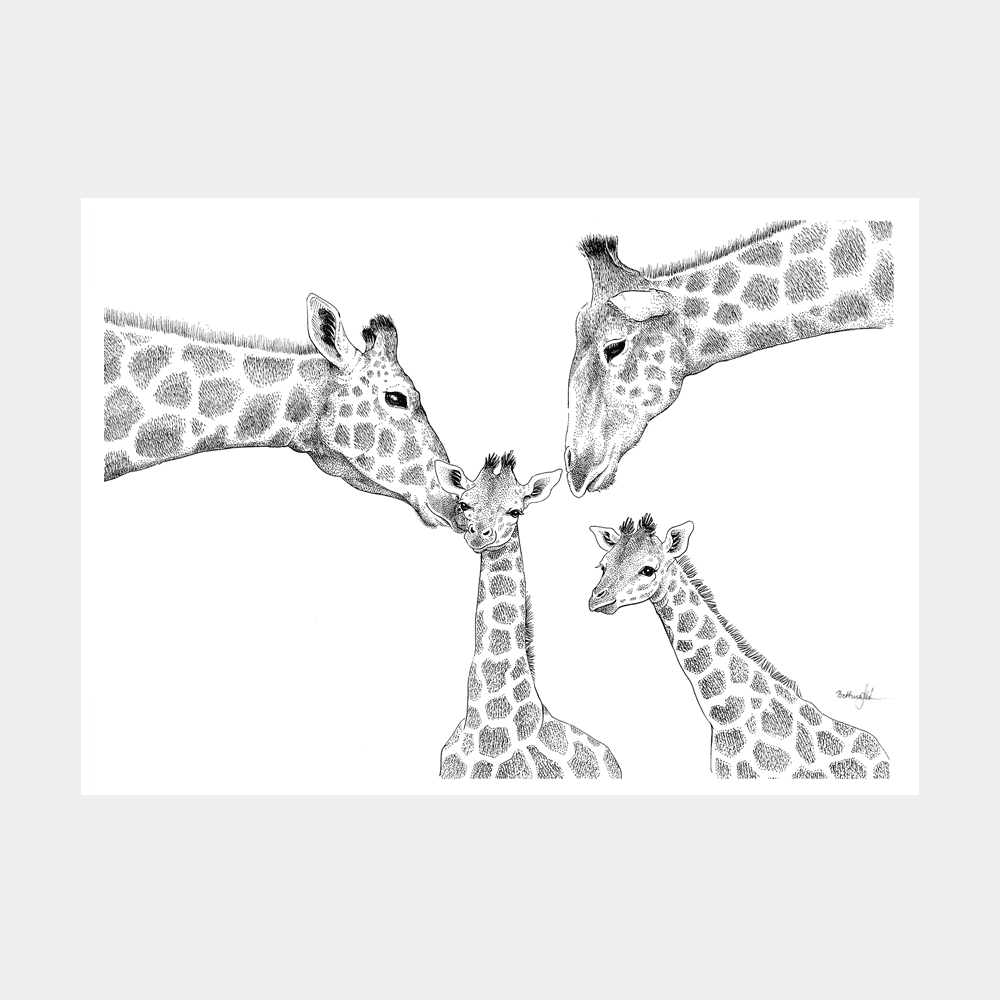 Håndtegnet familieplakat med giraffer og to unger. "Kærlighed uden lige"