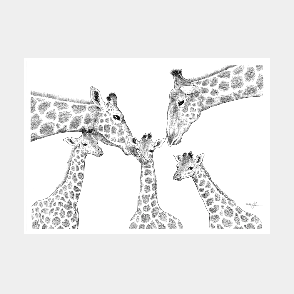 Håndtegnet familieplakat med giraffer og tre unger. "Kærlighed uden lige"