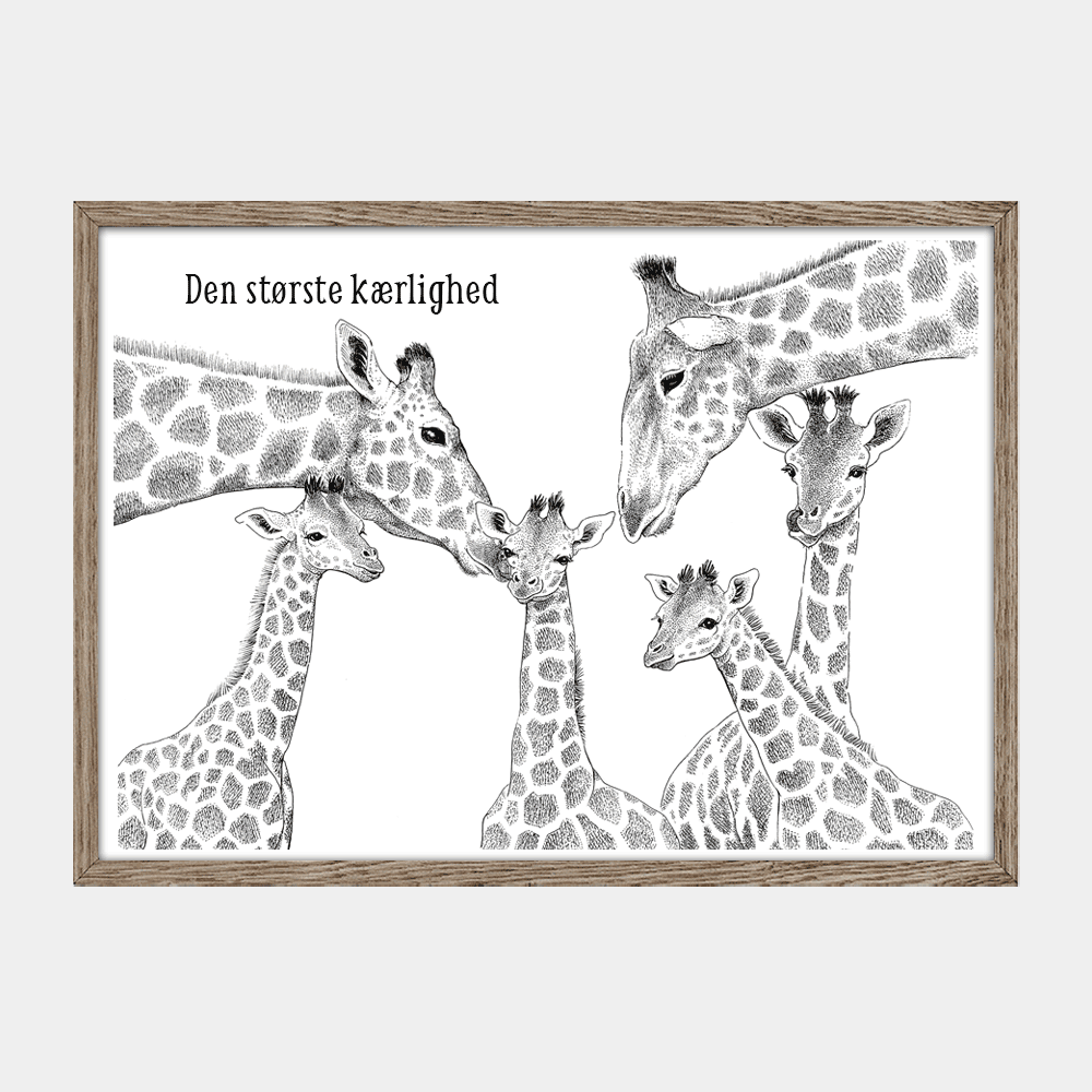 Personlig familieplakat med giraffamilie og 4 unger. Tilføj jeres egne navne og et citat.