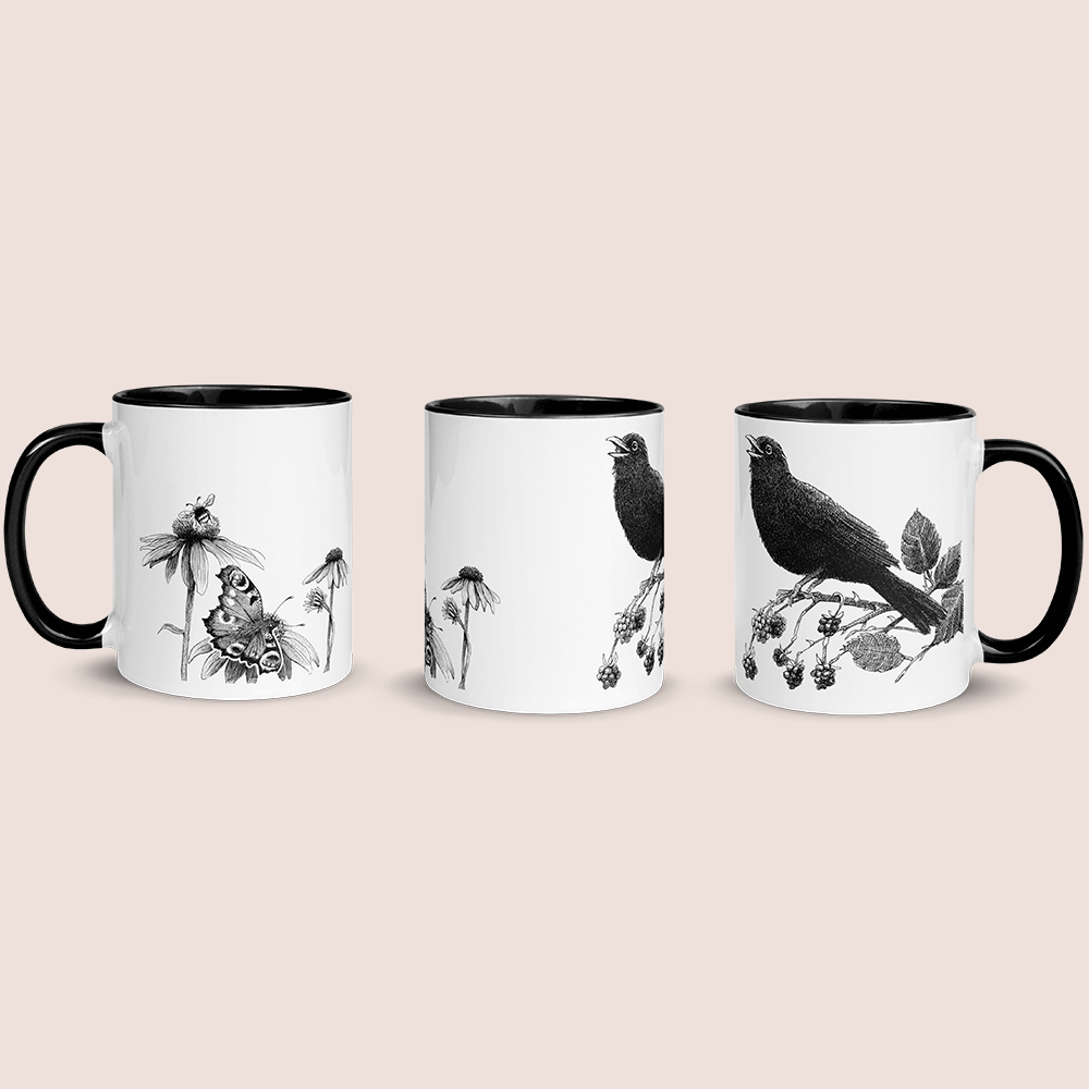 Krus med solsort, brombær og rød solhat