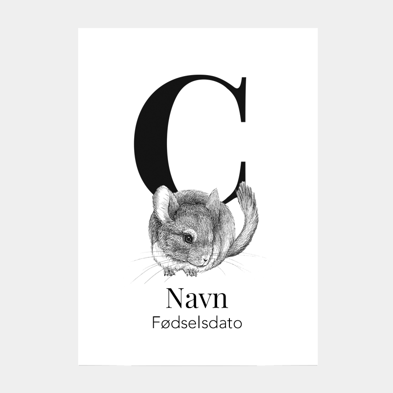 Navneplakat med bogstav C og chinchilla – personlig plakat til børn med håndtegnet dyremotiv
