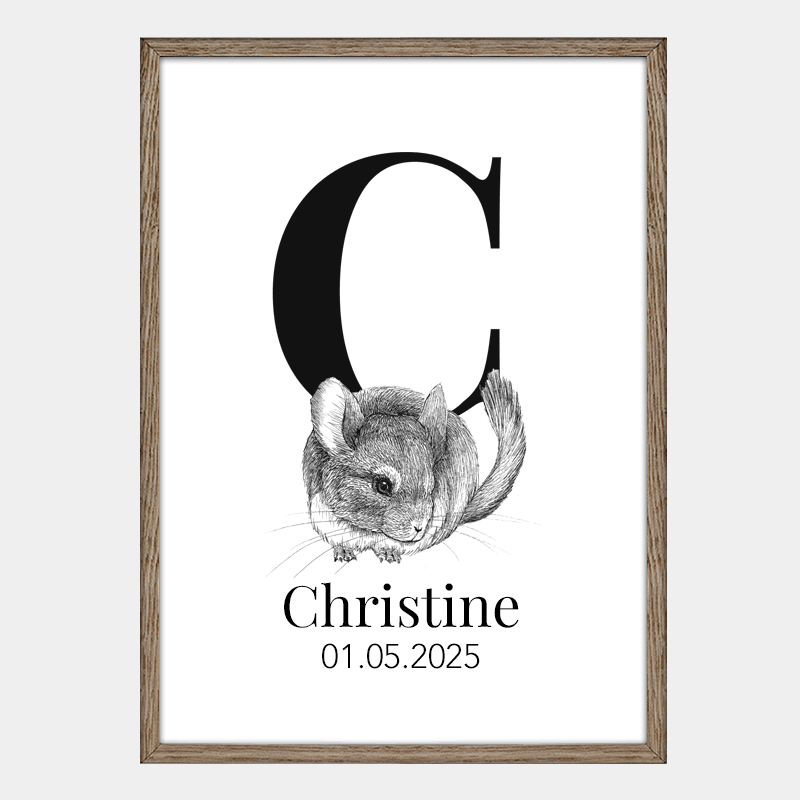 Navneplakat med bogstav C og chinchilla – klassisk design med håndtegnet illustration