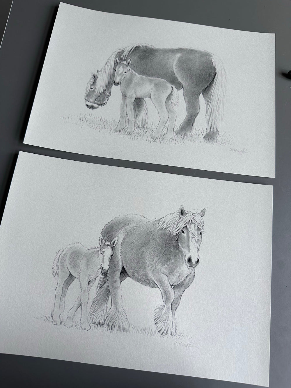 Bestillingsopgave af heste