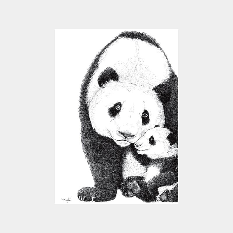Udsalg - A3 Pandafamilie (1-3 unger)
