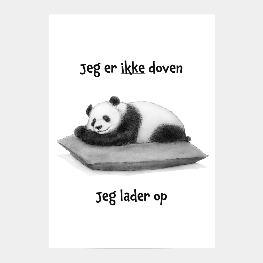 Jeg er ikke doven. Jeg lader op!