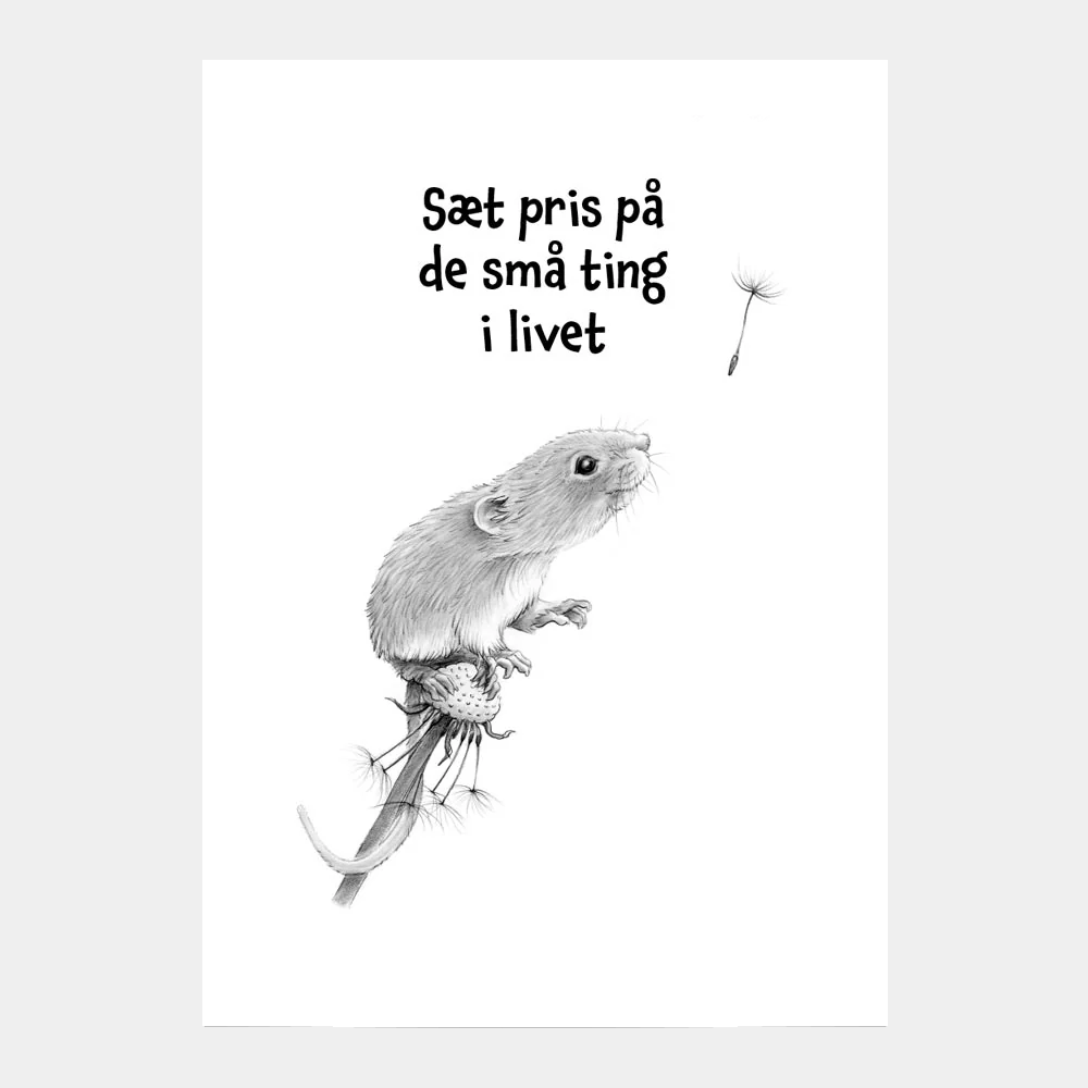 Sæt pris på de små ting i livet