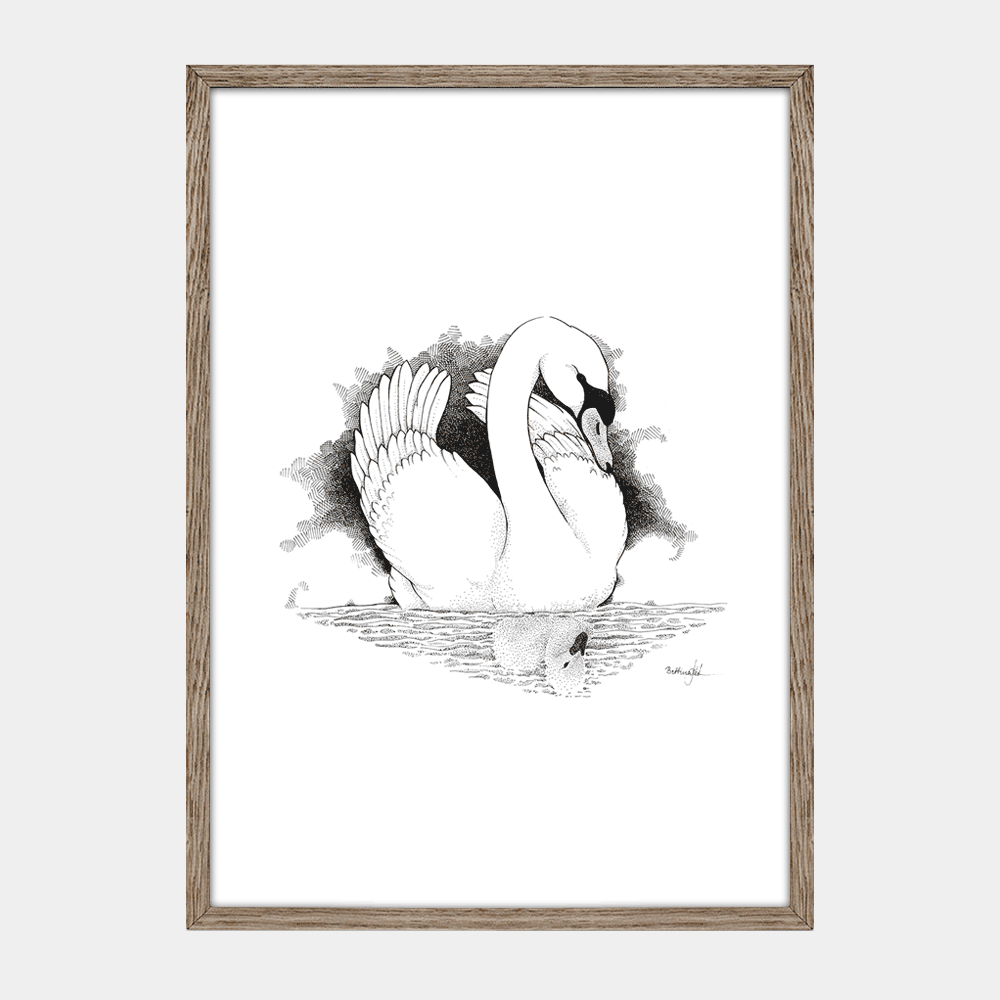 Plakat Den grimme ælling, håndtegnet illustration, fra H.C. Andersens eventyr, egetræsramme.