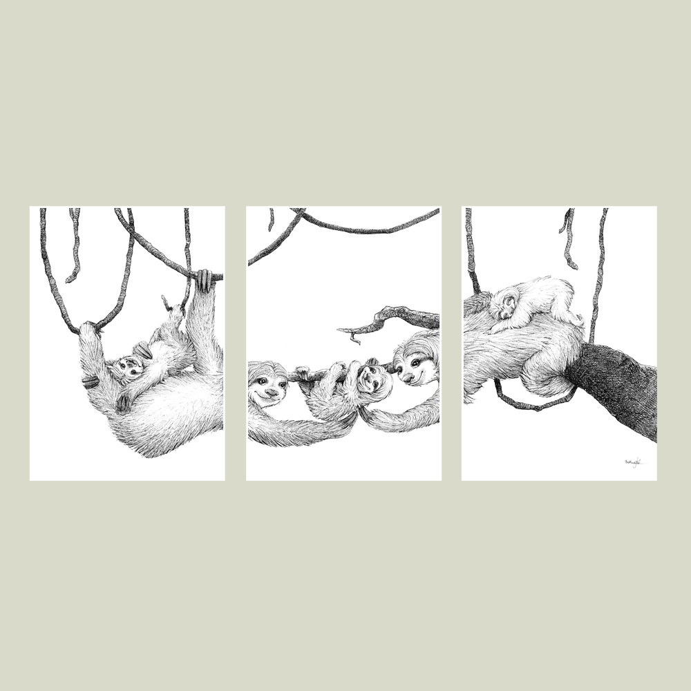 Håndtegnet sort-hvid plakat med dovendyr – detaljeret tuschtegning af dovendyrfamilie, der hviler i træernes grene.
