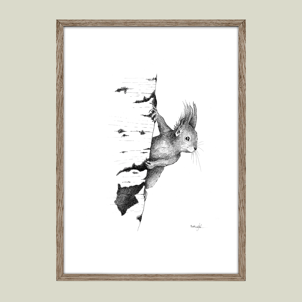 Håndtegnet plakat med egern. Et naturmotiv fra serien “I haven og skoven”, trykt i Danmark på kunstpapir – dansk kunst med varme og sjæl.