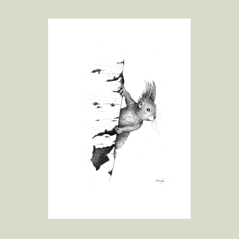 Håndtegnet plakat med egern. Et naturmotiv fra serien “I haven og skoven”, trykt i Danmark på kunstpapir – dansk kunst med varme og sjæl.