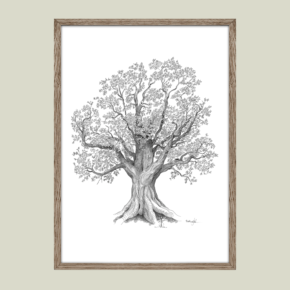 Plakat med Livets træ – symbol på livets cyklus, styrke og rødder.