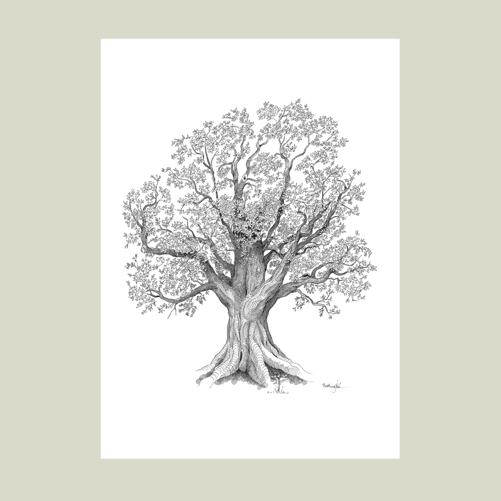 Plakat med Livets træ – symbol på livets cyklus, styrke og rødder.