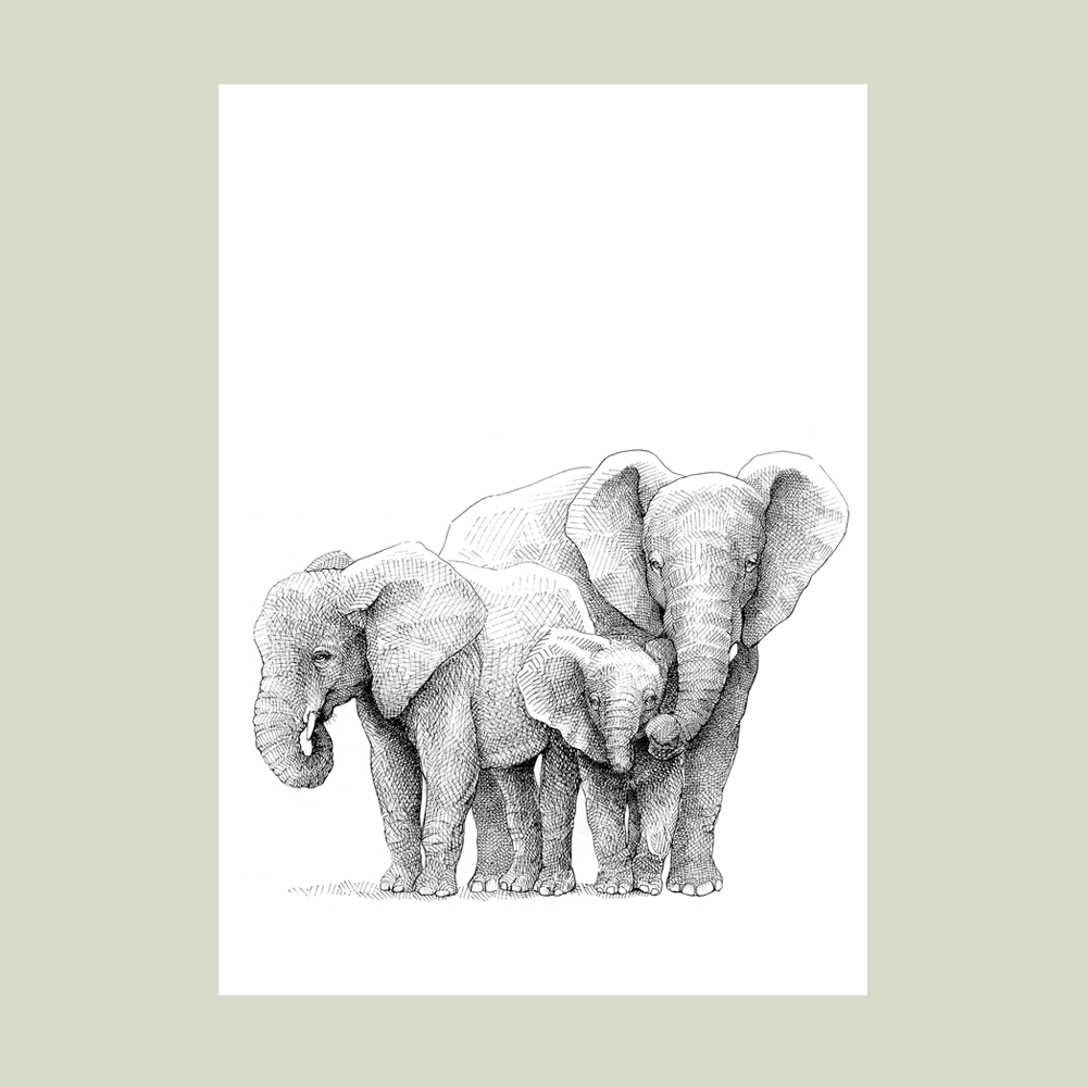 Plakatsæt – Samhørighed