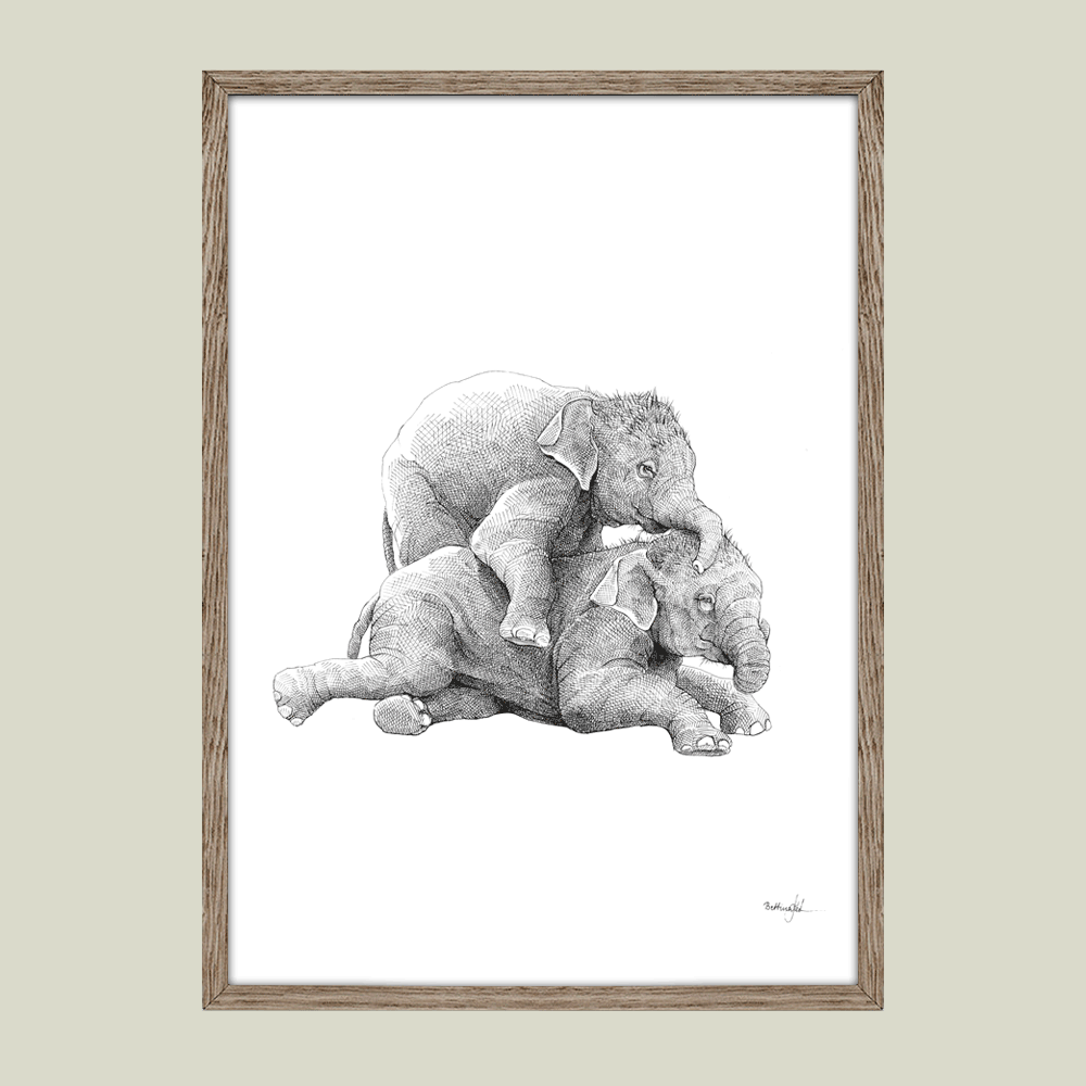 Håndtegnet sort-hvid plakat med to elefanter i leg – detaljeret tuschtegning af elefanter, der tumler i nærvær og glæde.