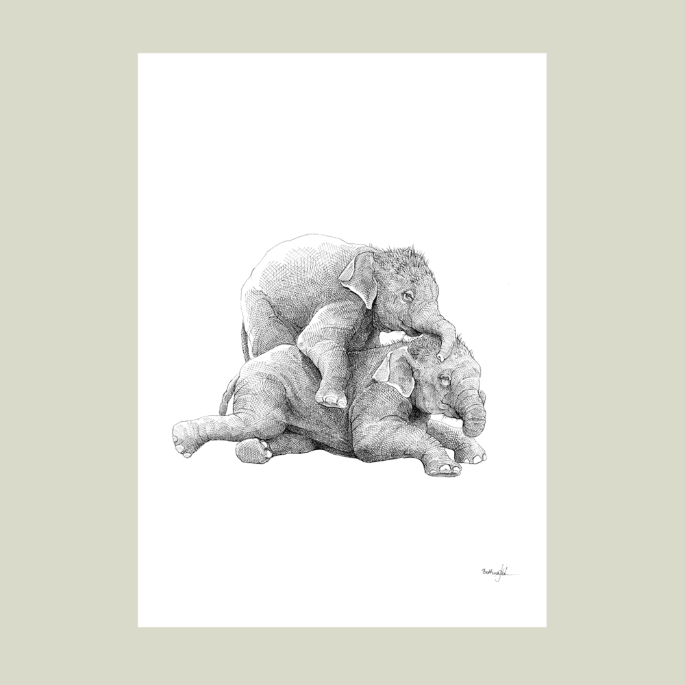 Håndtegnet sort-hvid plakat med to elefanter i leg – detaljeret tuschtegning af elefanter, der tumler i nærvær og glæde.